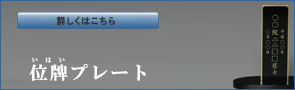 �ʔv�v���[�g