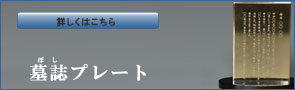 �掏�v���[�g